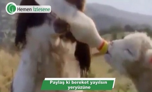 Birbirini yediren hayvanlar.
