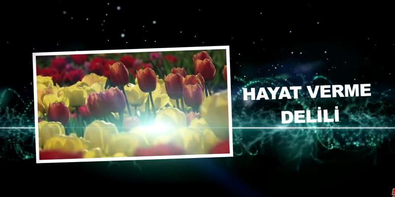 Ahirete İman - 12: Allah'ın Hayatı Yaratması, Ahiretin Varlığına Delildir