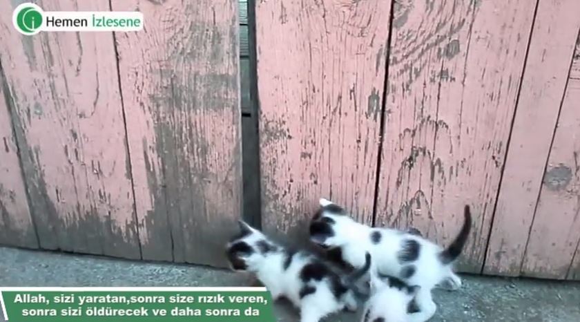 O Allah ki, yaratandır, (en güzel bir biçimde) kusursuzca var edendir,.