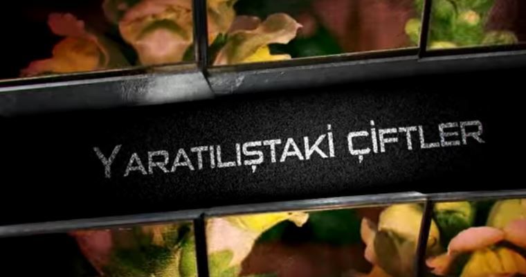 Yaratılıştaki Çiftler