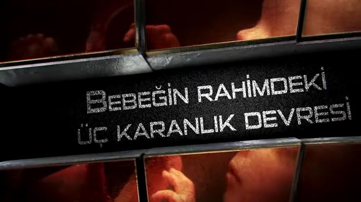 Bebeğin rahimdeki üç karanlık devresi