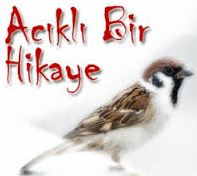 Acıklı Bir Hikaye