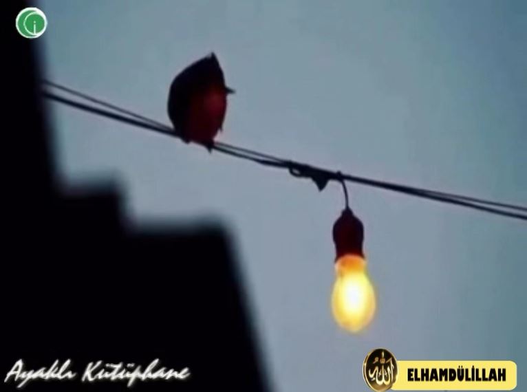 Elhamdülillah - Ayaklı Kütüphane