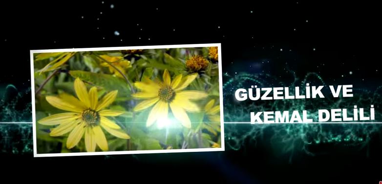 Ahirete İman - 7: Kainattaki Güzellikler ve Mükemmellikler Ahiretin Varlığına Delildir