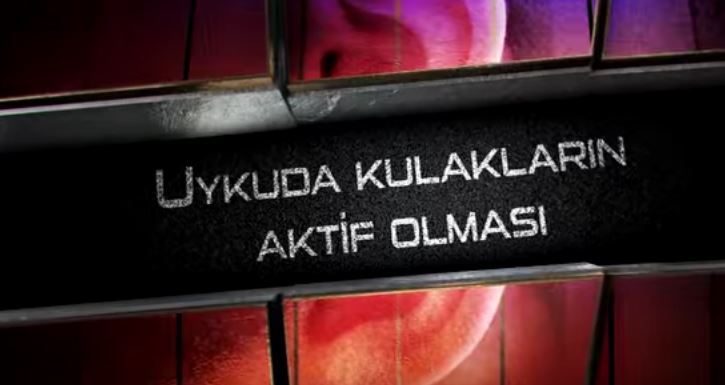 Uykuda kulakların aktif olması