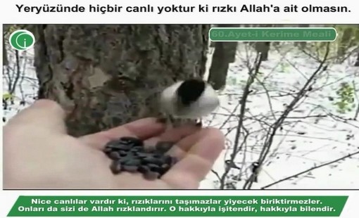 Rızkı veren Allah'tır