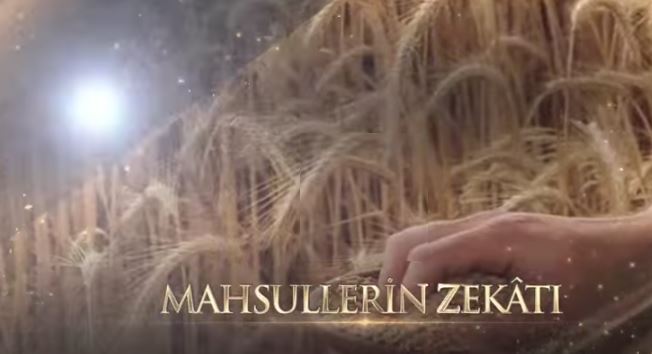 7-Mahsullerin zekatı