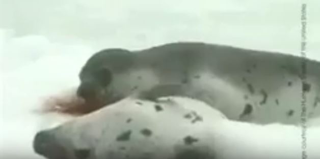 Katliam insanlık ölmüş