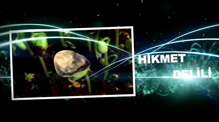 Ahirete İman - 4: Kainattaki Hikmet Ahiretin Varlığına Delildir